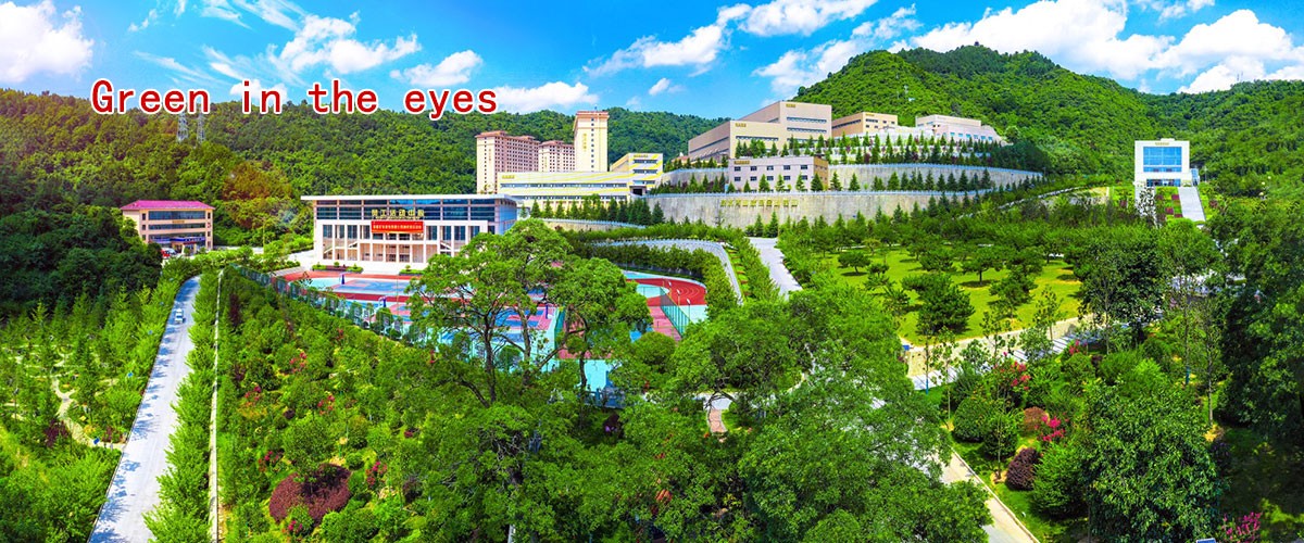 礦區瀏覽-滿目蒼翠.jpg