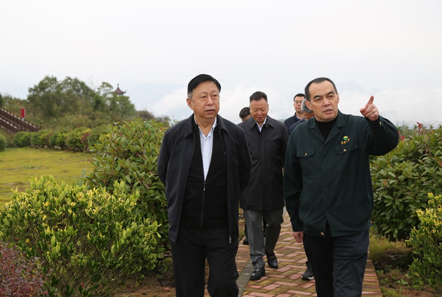 19-2021年10月，原國(guó)土資源部副部長(zhǎng)汪民蒞臨公司調(diào)研。.jpg