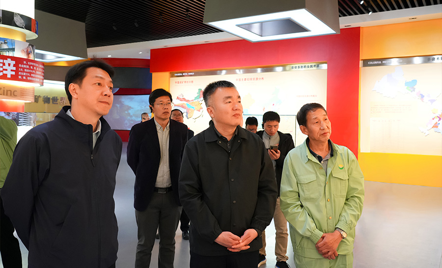 10.4-2024年04月，自然資源部礦保司副司長(zhǎng)王博蒞臨公司調(diào)研。.jpg