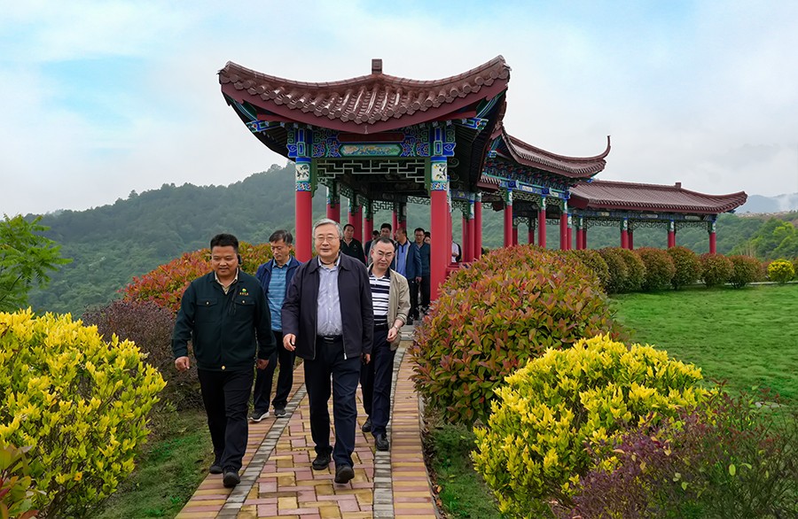 49-2022年5月，省工信廳副廳長(zhǎng)王海峰一行蒞臨金徽股份調(diào)研綠色礦山建設(shè)工作。.jpg