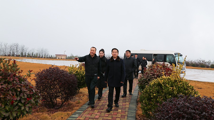 45-2020年12月，省高級(jí)人民法院黨組成員、副院長(zhǎng)任建國(guó)蒞臨金徽股份調(diào)研知識(shí)產(chǎn)權(quán)司法保護(hù)工作。.jpg